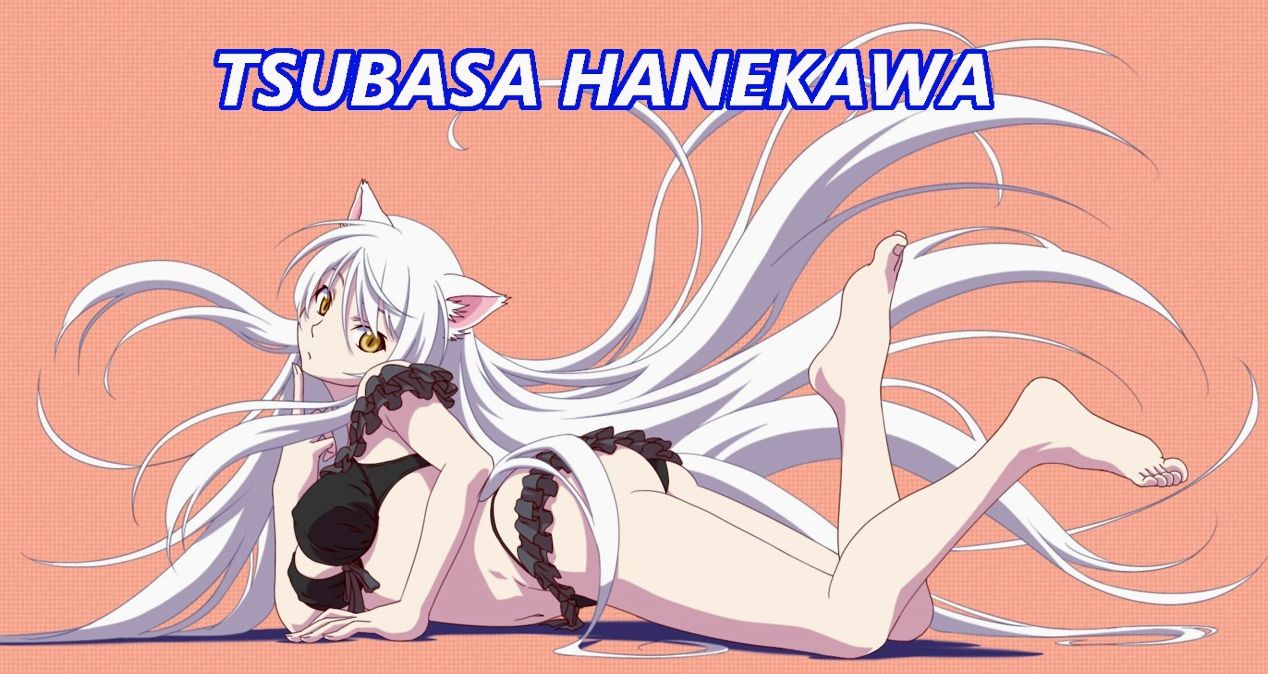 Tsubasa Hanekawa vince Miss Hotclick 2017 Tsubasa Wins Hotclick 017